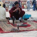 marrakech2