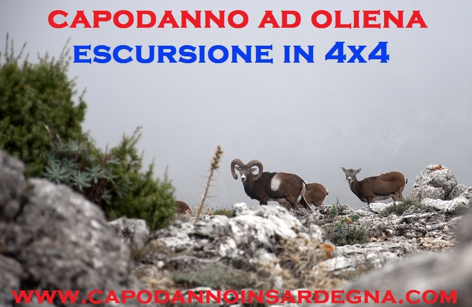 CAPODANNO 2017 AD OLIENA PACCHETTO HOTEL CENONE VEGLIONE ESCURSIONE IN 4X4 SUL MONTE CORRASI DA 275 €