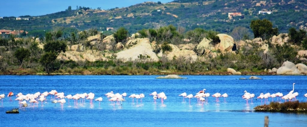 CAPODANNO 2018 A SAN TEODORO HOTEL 3 STELLE PACCHETTO 2 GIORNI 1 NOTTE CON CENONE SERATA DANZANTE 130 €